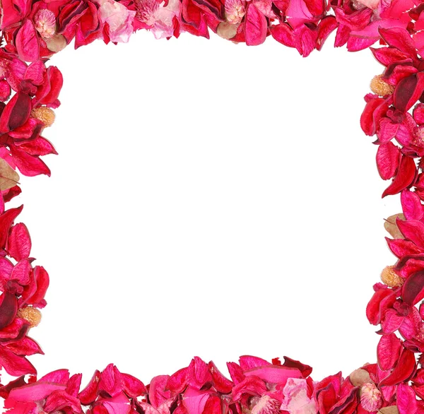 Frame made of petals — Stock Photo, Image