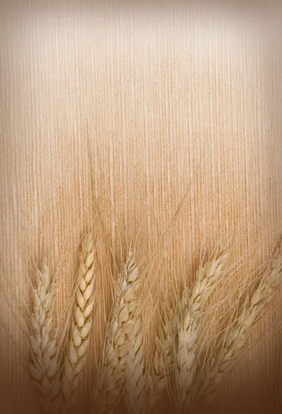 Background from wheat ears — Stock Photo, Image