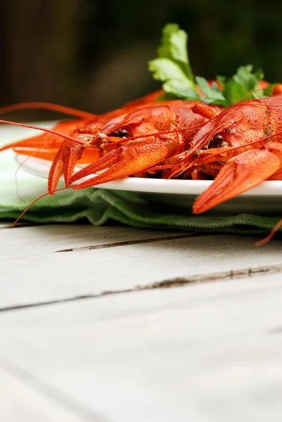 Lobsters em uma chapa — Fotografia de Stock