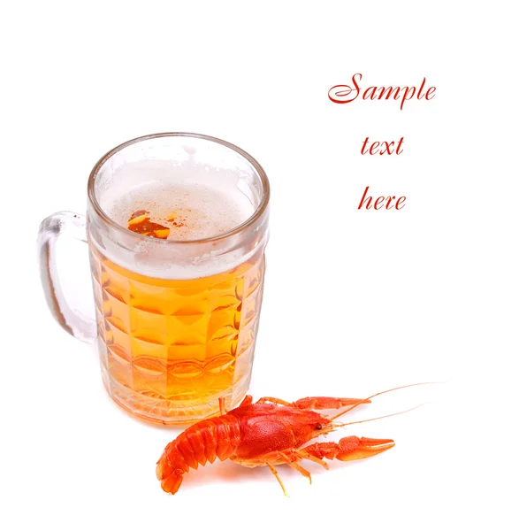 Cerveja com lagosta — Fotografia de Stock