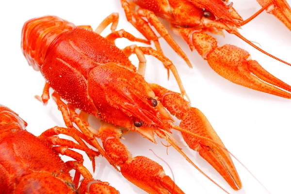 Background from lobsters — Stock Photo, Image