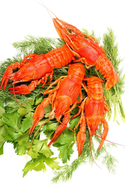 Lobsters em uma salsa — Fotografia de Stock