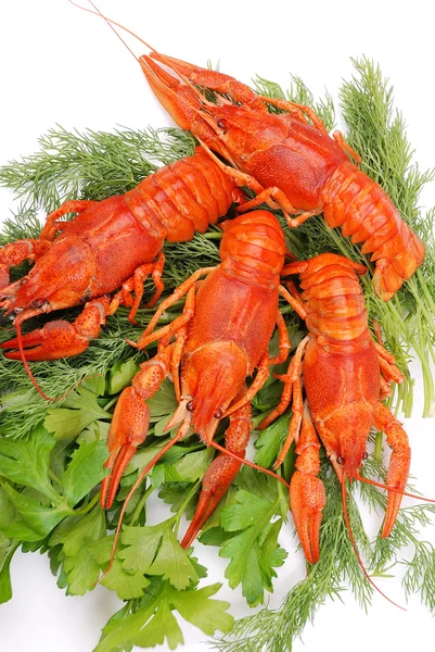 Lobsters — Stock Photo, Image