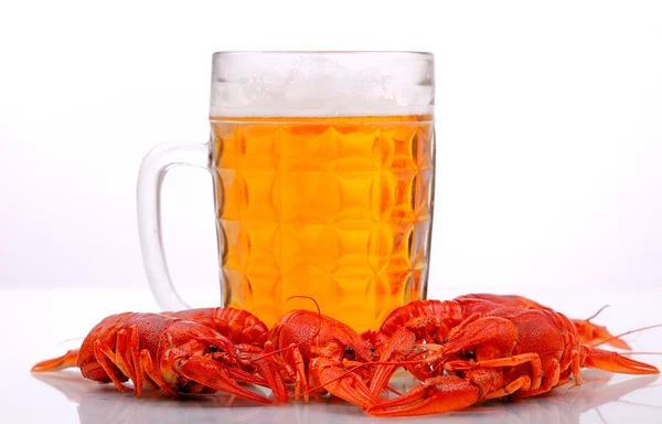 Beer and lobsters — Stock Image Beer and lobsters Stock Photo