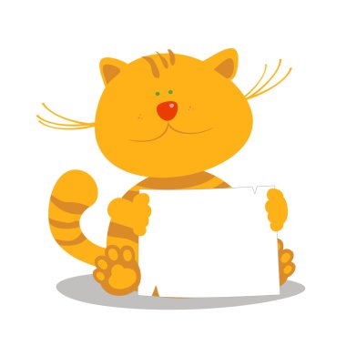 boş boş yavru kedi.