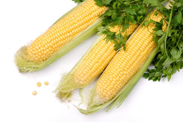 玉米与欧芹 — 图库照片