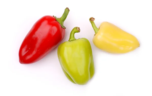 Gekleurde paprika — Stockfoto