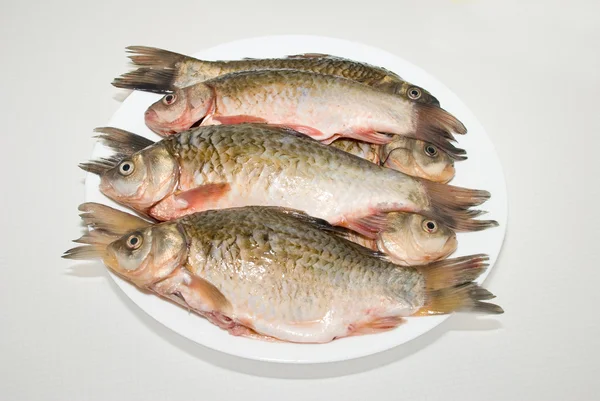 Fish — Stock Photo, Image