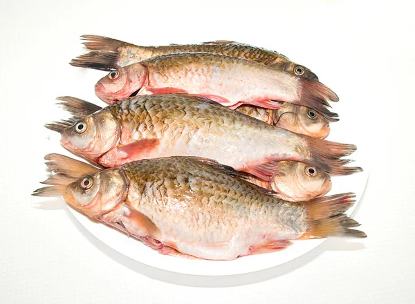 Fish — Stock Photo, Image