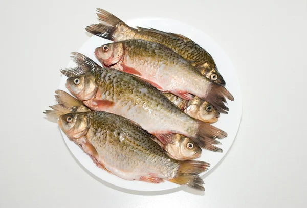 Pesce — Foto Stock