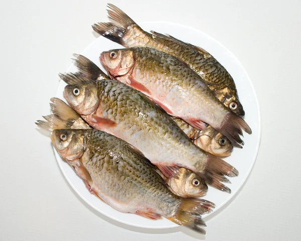 Fish — Stock Photo, Image