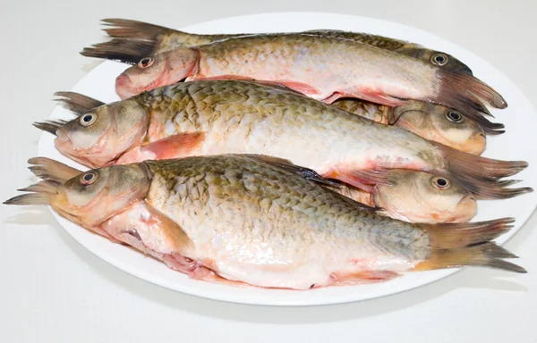 Fish — Stock Photo, Image