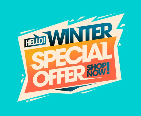 Winter Special Offer Shop Now Advertising Sale Web Banner Poster — Stock Vector