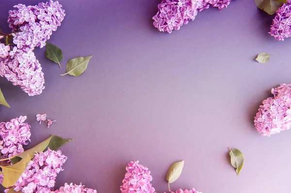 Empty Space Gray Background Lilac Bunch Flowers Banner Mockup Flat — Stock fotografie