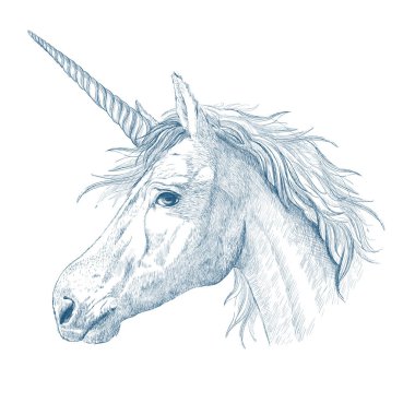 Unicorn head profile hand drawn sketch style magic portrait, graphic vector illustration