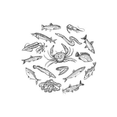 Çeşitli balık, midye, yengeç ve ahtapot vektör illüstrasyonlu deniz ürünleri grafik çember sembolü, siyah ve beyaz