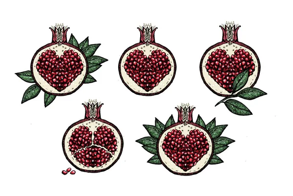Fairy Pomegranates Graphic Vector Set Hand Drawn Sketches Pomegranates Symbols — Stock Vector