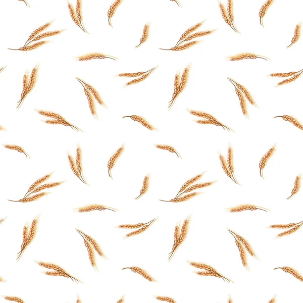 Пшеничные Уши Бесшовный Узор Нарисованный Вручную Векторный Эскиз Бесшовный Фон — стоковый вектор