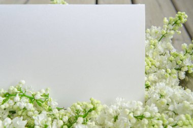 Beyaz kağıt kart, yakın plan beyaz leylak çiçekleri ve ahşap arka plan, yatay