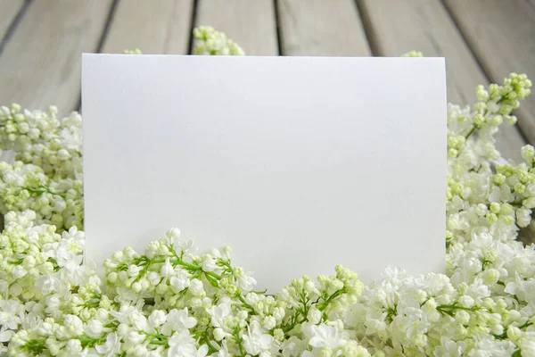 White Paper Card Closeup White Lilac Flowers Wooden Backdrop — Photo