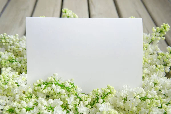 Kapalı beyaz leylak çiçekli beyaz kağıt kart ve ahşap zemin