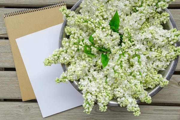 White Paper Card Closeup White Lilac Flowers Wooden Backdrop — Fotografia de Stock