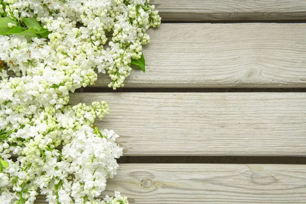 White Lilac Flowers Light Wooden Backdrop Copy Space Text Mockup — Stok fotoğraf