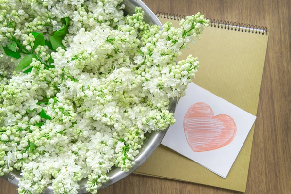 White Paper Card Drawing Red Heart Closeup White Lilac Flowers — Photo