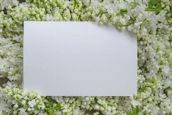 White Paper Card Closeup White Lilac Flowers Suitable Wedding Invitation — Stock fotografie