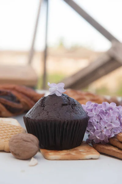 Chocolate Cupcake Lilac Outdoor Photo — Stock Photo, Image