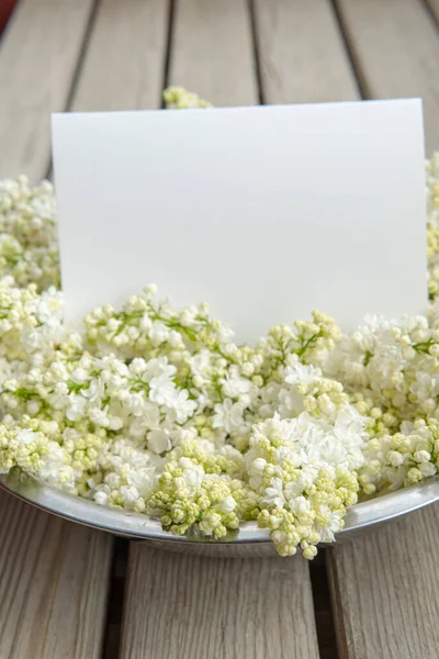 White Paper Card Closeup White Lilac Flowers Wooden Backdrop — Stok fotoğraf