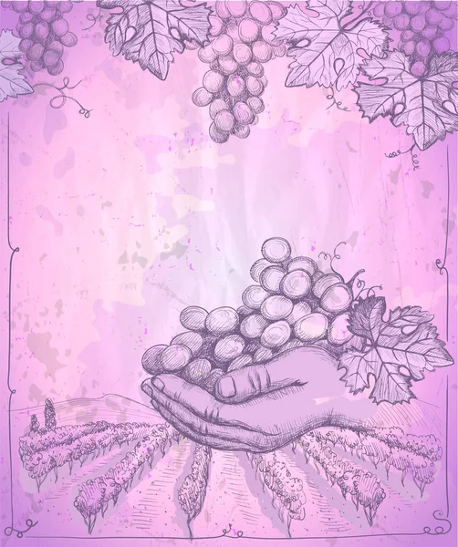 手拿着一束葡萄 背景上带有乡村风景和葡萄园的病媒图解 — 图库矢量图片