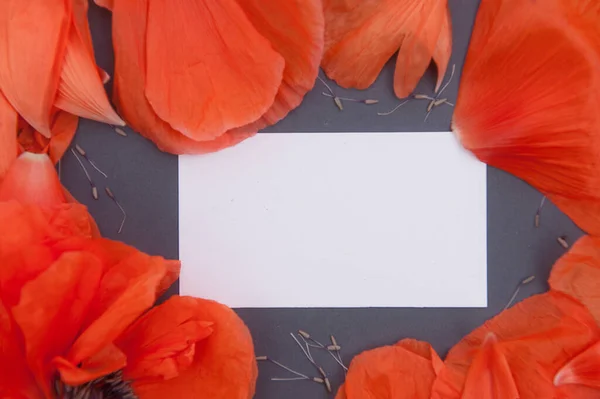 Red Poppies Gray Backdrop Empty Space White Business Card Mockup — Photo