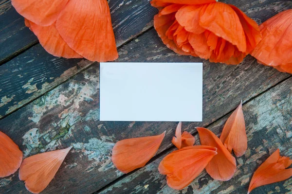Rote Mohnblumen Auf Holzkulisse Mit Leerem Raum Weiße Visitenkarten Attrappe — Stockfoto