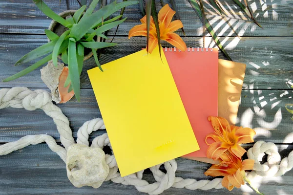 Mock Yellow Red Empty Notebook Covers Outdoor Photo Palm Shadows — Stock fotografie