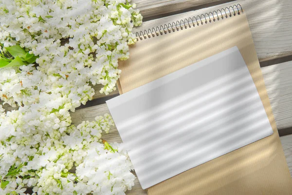 White Paper Card Closeup White Lilac Flowers Shade Blinds — Stockfoto