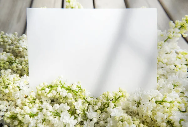 Witte Papieren Kaart Met Close Witte Lila Bloemen Houten Achtergrond — Stockfoto