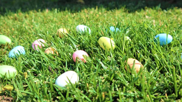 Ostern Bunte Eier Auf Grünem Gras Grünem Hintergrund — Stockfoto