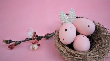 Paskalya kompozisyonu yumurta ve pembe pastel arka planda küçük incilerden yapılmış tavşan kulakları. Bir dal çiçek açan sakura.