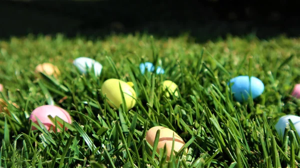 Pasen Kleurrijke Eieren Groen Gras Groene Achtergrond — Stockfoto