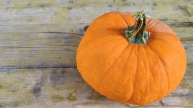 Sonbahar Arkaplanı. Ahşap arka planda doğal sonbahar sonbahar manzaralı balkabağı. Mevsimlerin değişmesi, olgun organik gıda konsepti. Cadılar Bayramı partisi. Şükran Günü