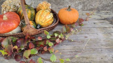 Eski ahşap arka planda sonbahar kompozisyonu. çeşitli balkabakları ve sonbahar yaprakları. Şükran Günü. halluin. Pankart