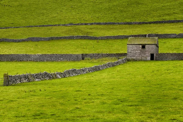 Campos verdes — Foto de Stock