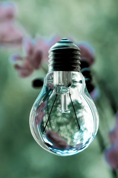 Glass bulb on blur background — Stock Photo, Image