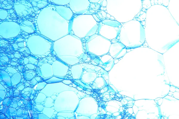 Blue foam on white — Stock Photo, Image