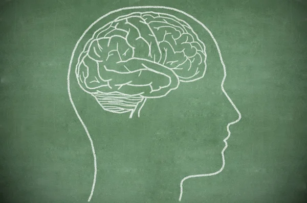 Brain in head on chalkboard — Stock Photo, Image