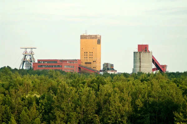 Landschap mijn in bos — Stockfoto