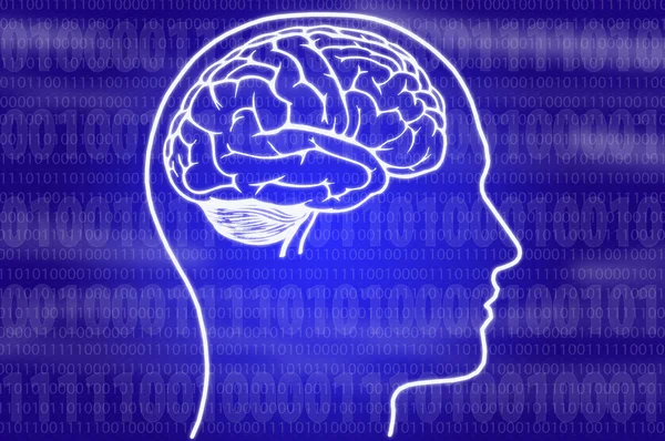 Mozek v hlavě na modrém pozadí — Stock fotografie