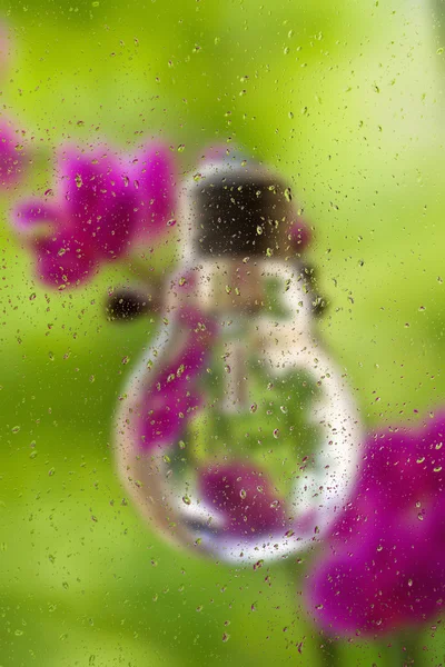 Bombilla de vidrio sobre fondo borroso — Foto de Stock