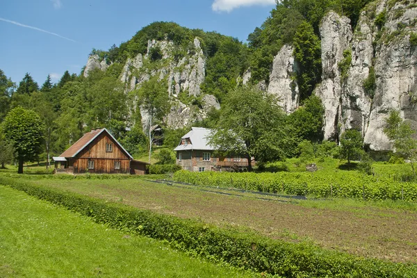 Old country cottage in the foothills. — Stock Photo, Image